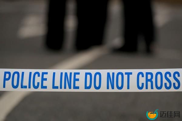 布里斯托尔一名19岁女子被狗袭击致死，两名嫌犯被捕