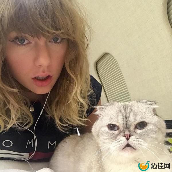 At the number three spot is Olivia Benson, the best friend and companion of artist Taylor Swift, who asks the question: is Instagram celebrity really the most profitable profession for your pet? With a whopping $97 million net worth, Olivia has found success outside of the world of Instagram influencing. The Scottish Fold earned her fortune starring alo<em></em>ngside her owner in several music videos, has crafted her own merchandise line, and has had cameos in many big-budget ads, including for the likes of Diet Coke and Ned Sneakers.