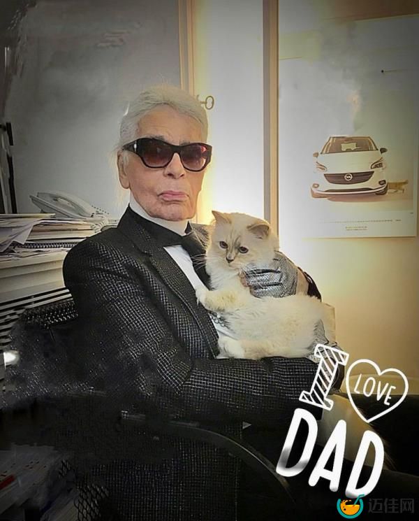 Claudia Schiffer and Chip the cat attend the World Premiere of 