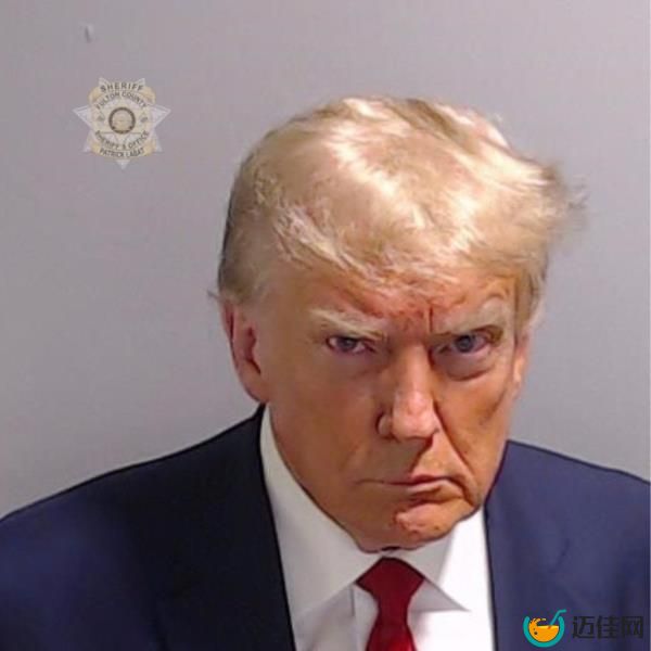 Do<em></em>nald Trump.