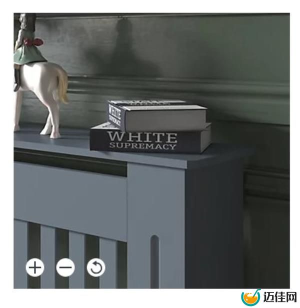 B&Q apologise after book called White Supremacy is bizarrely placed on top of radiator in website ad for appliance which sparked social media backlash