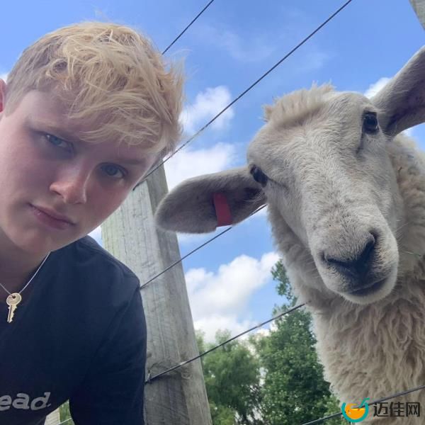 Armfield is seen posing with a lamb. 