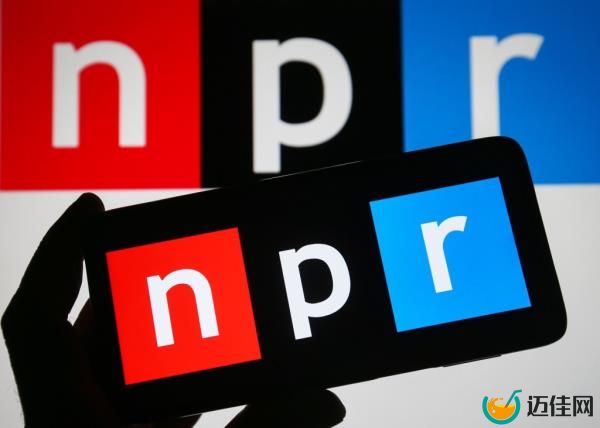 Natio<em></em>nal Public Radio has come under scrutiny since Berliner penned an essay for Bari Weiss