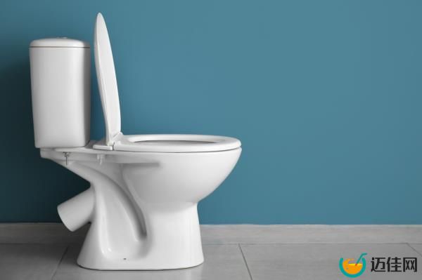 Toilet bowl. 