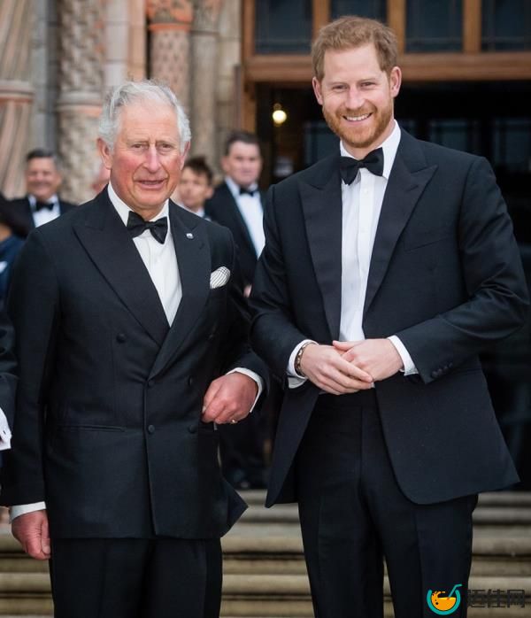 Prince Charles and Prince Harry, both in suits, smiling at the 