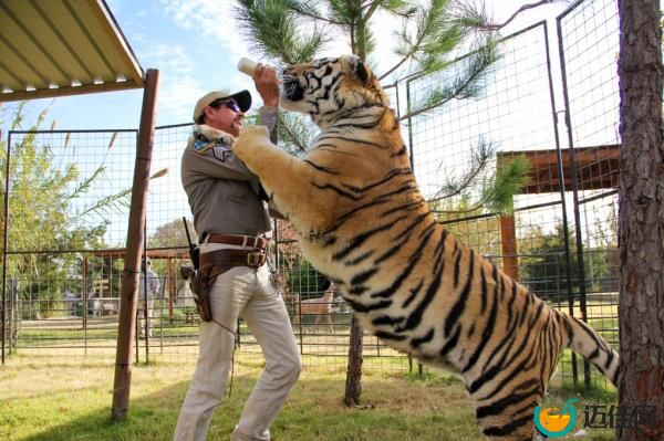 Joe Exotic on 