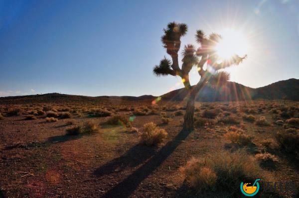 El Paso, Texas saw daily highs of more than 100 degrees for 36 straight days. 