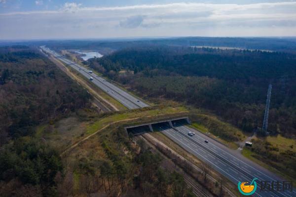 A grassy overpass straddling two motorways seen from above.
