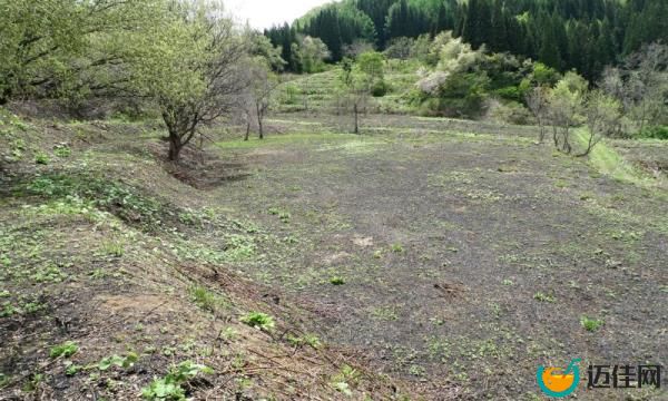 春季野火：人口减少和老龄化如何威胁中山景观
