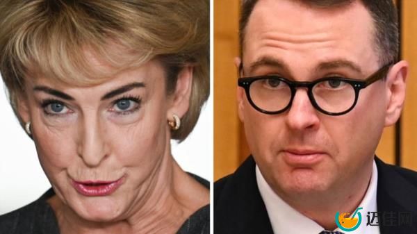 Michaelia Cash斥责自由党参议员Andrew Bragg对GST的评论