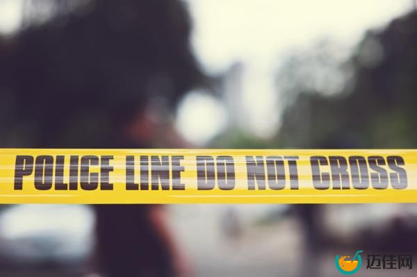 一名男子在北港一户人家的院子里发现6只被锁住的死狗后被起诉
