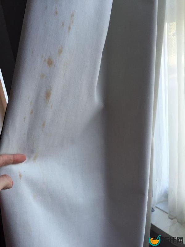 Any guesses as to what these stains are?