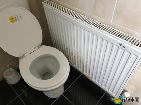 The toilet seats are stained with human waste