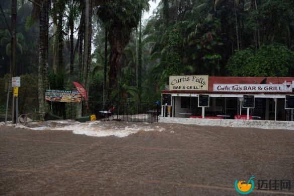 Flooding at the Curtis Falls track in Tamborine Natio<em></em>nal Park.